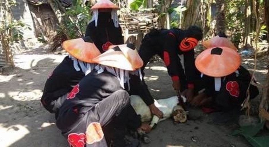 Deretan hal-hal yang tidak terduga dalam idul adha ini bikin ketawa ngakak